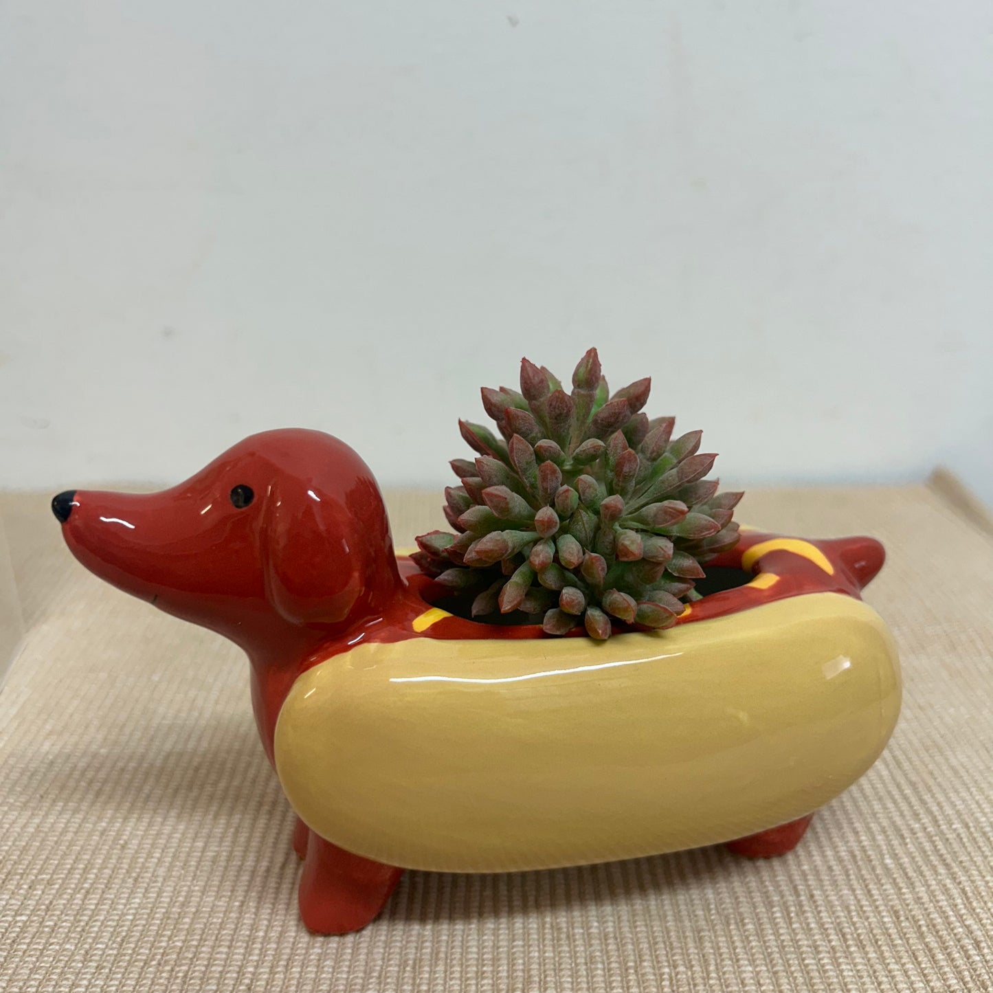 Hot Dog Ceramic Planter