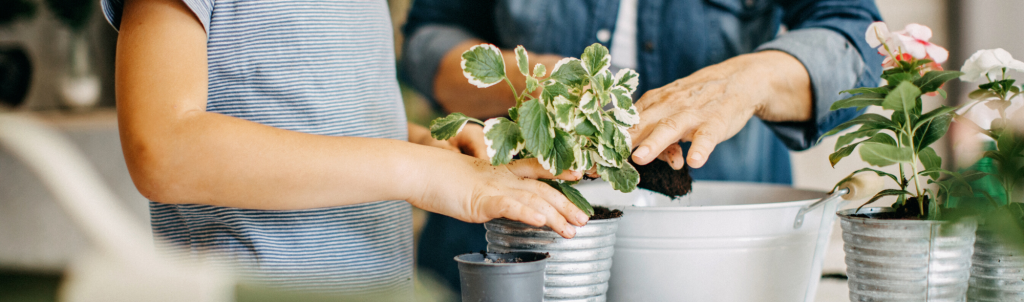 ECO Potting Mix