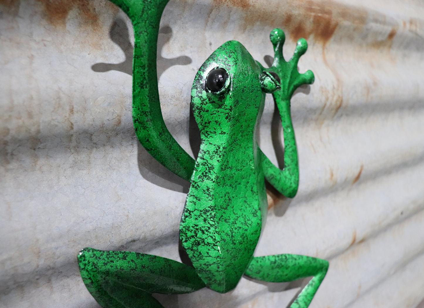 Green Frog Wall Art