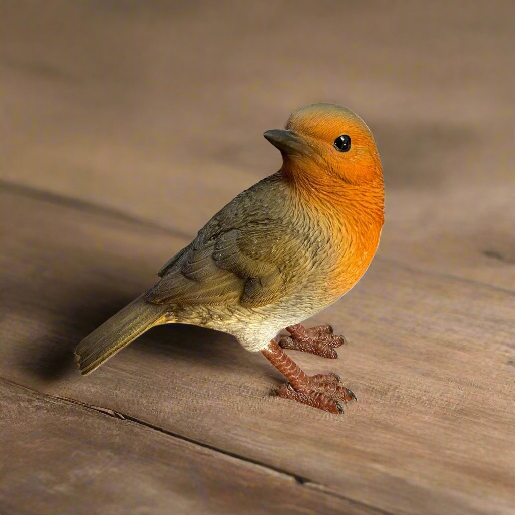 Standing Orange Robin