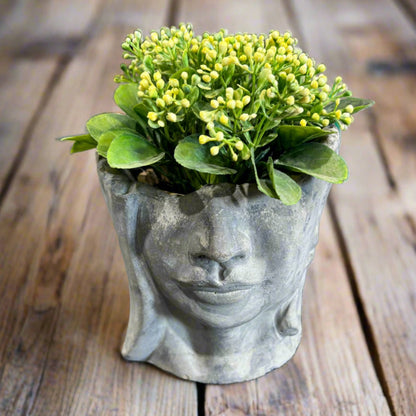 Dart Head Planter