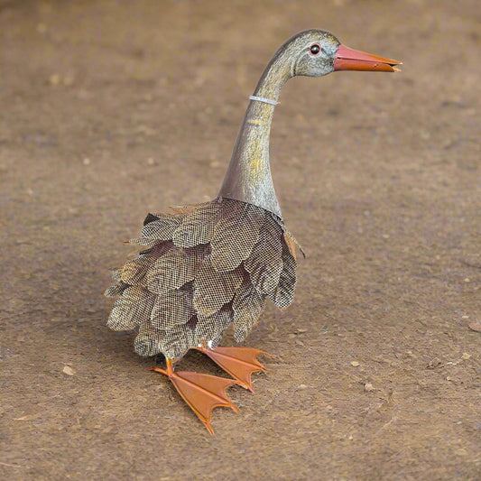 Duck Female