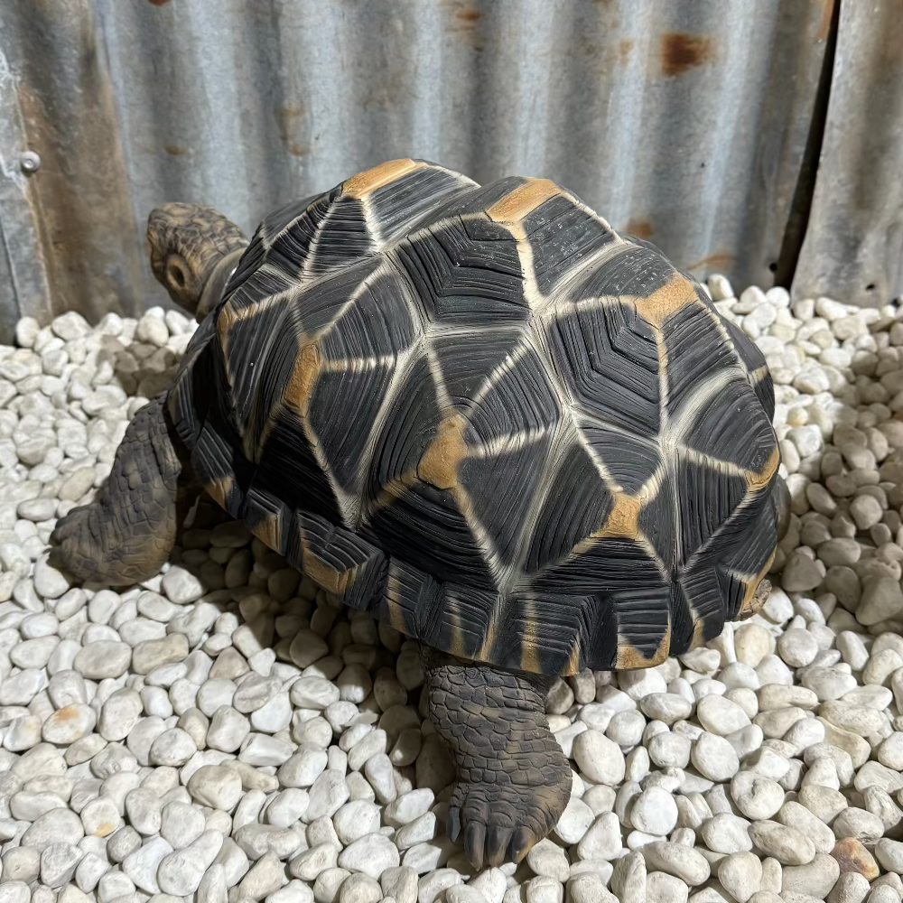 Star Tortoise Statue
