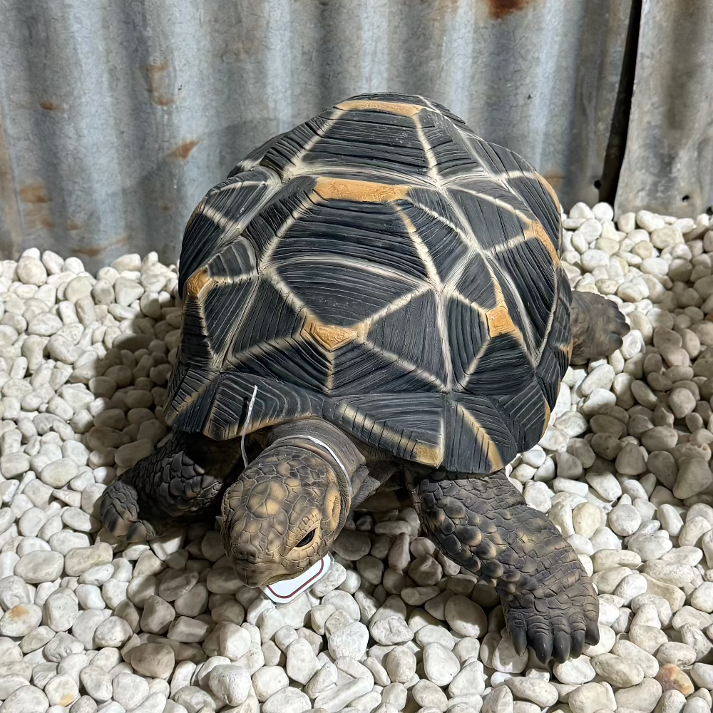 Star Tortoise Statue