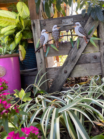 Kookaburra Trio On Gum Tree