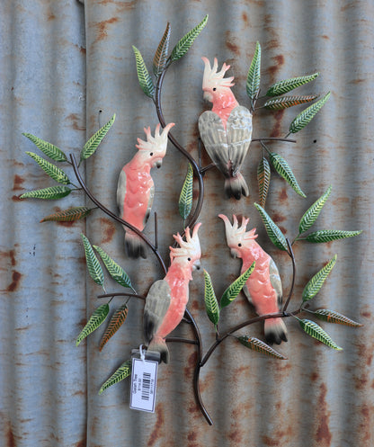 Galah Tree