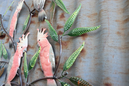 Galah Tree