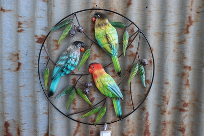 Parrot Trio and Gumnuts