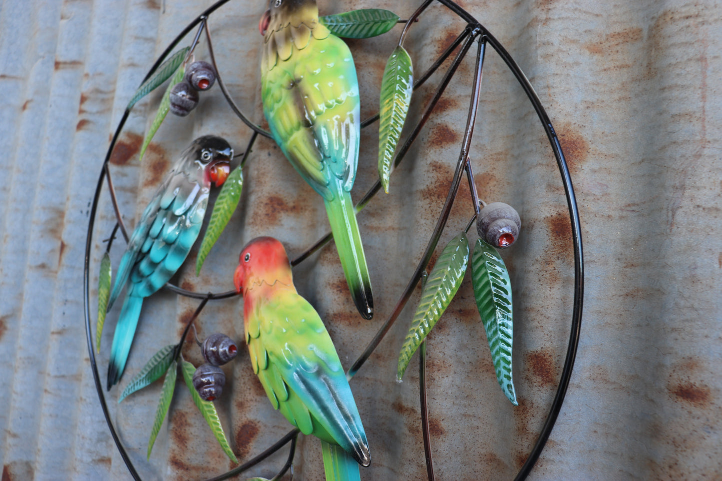 Parrot Trio and Gumnuts