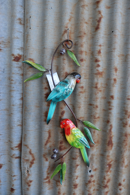 Parrot Pair With Gumnuts