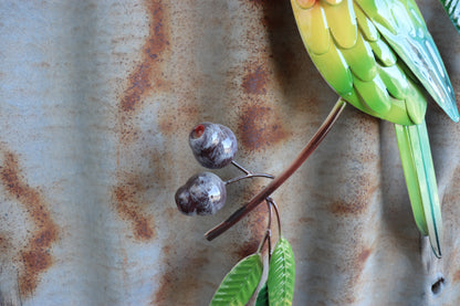 Parrot Pair With Gumnuts