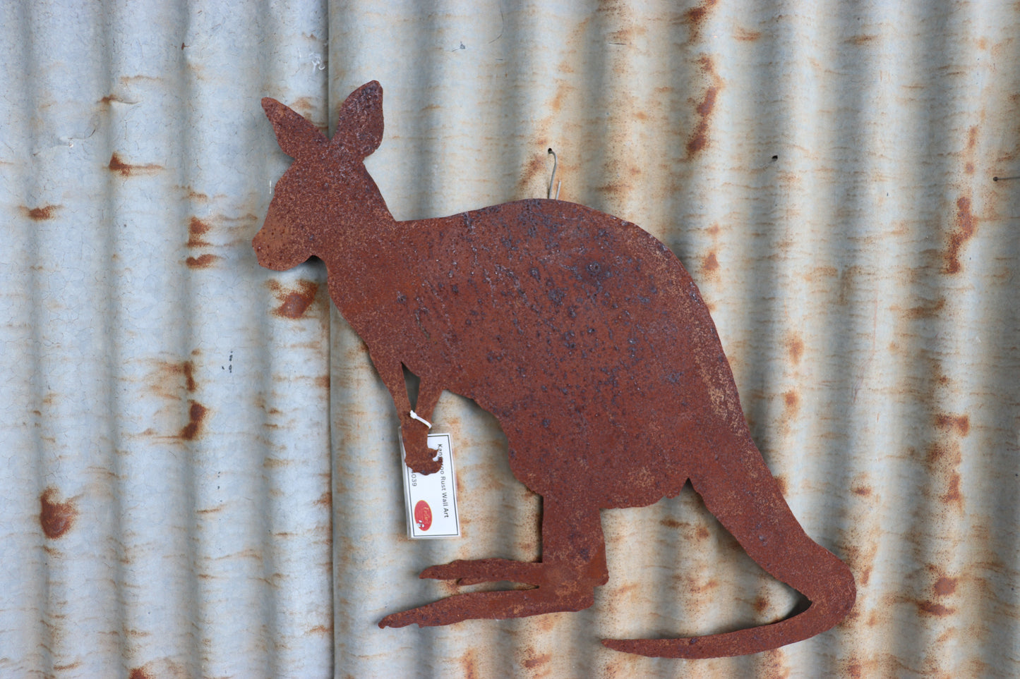 Kangaroo Rust Wall Art