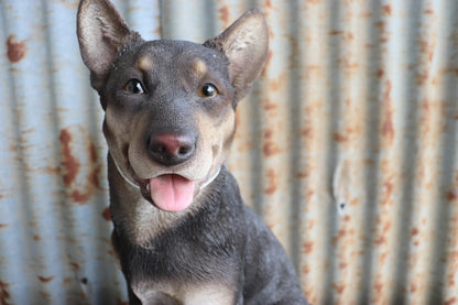 Kelpie Statue