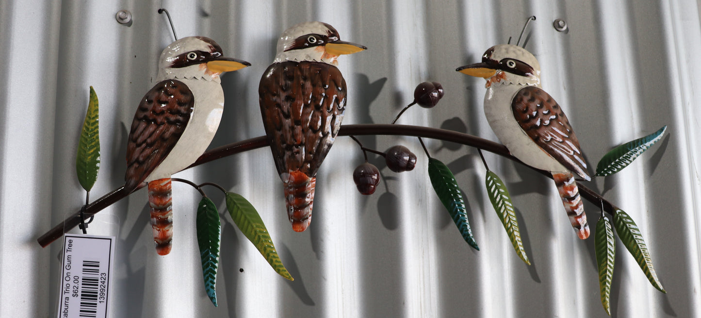 Kookaburra Trio On Gum Tree