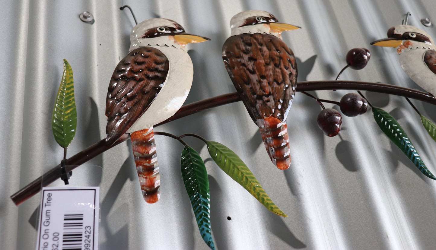 Kookaburra Trio On Gum Tree