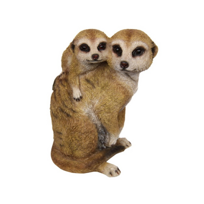 Meerkat Family Watching
