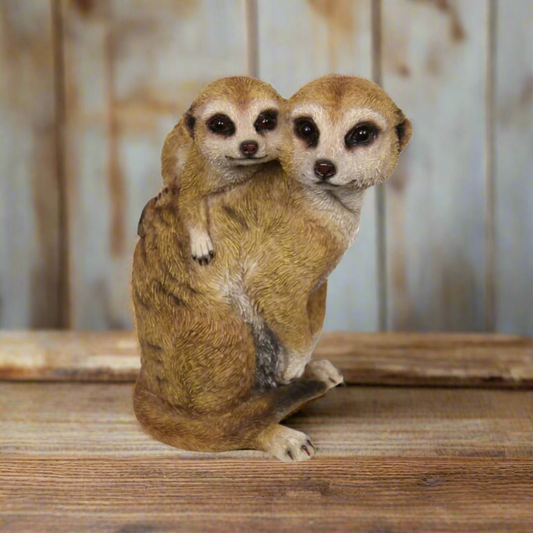 Meerkat Family Watching