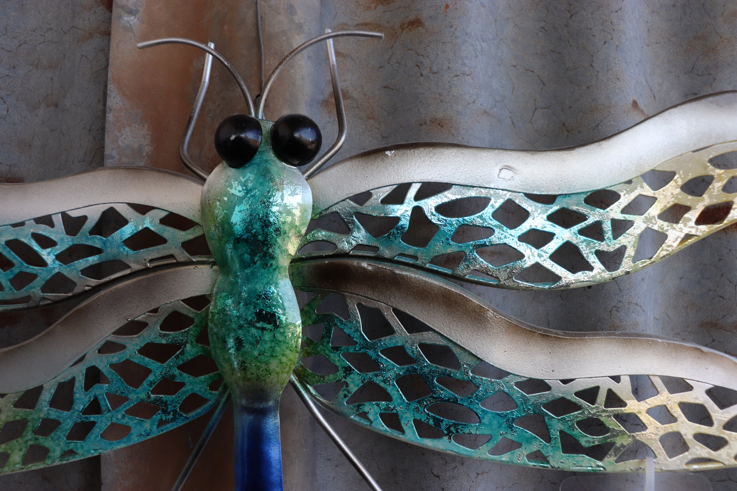 Medium Dragonfly Wall Art