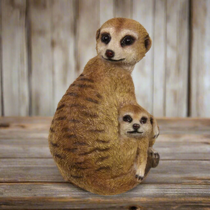 Mother and baby Meerkat on lookout