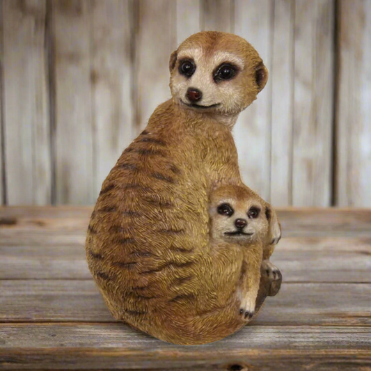 Mother and baby Meerkat on lookout