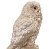 Natural Oasis Owl Statue