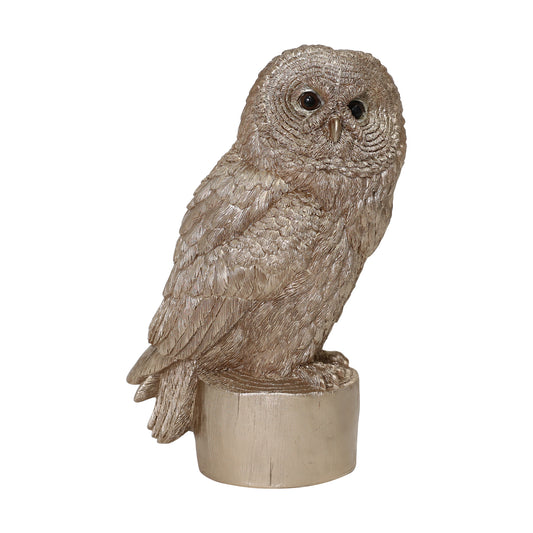 Natural Oasis Owl Statue