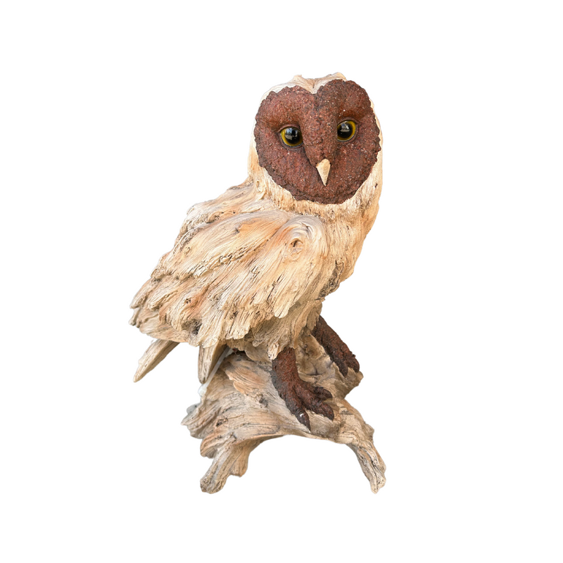 Owl On Log