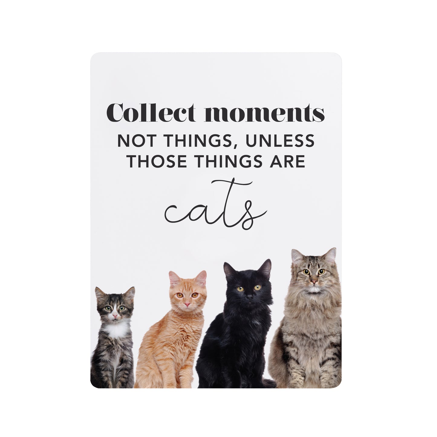 Playful Pets Ceramic Magnets