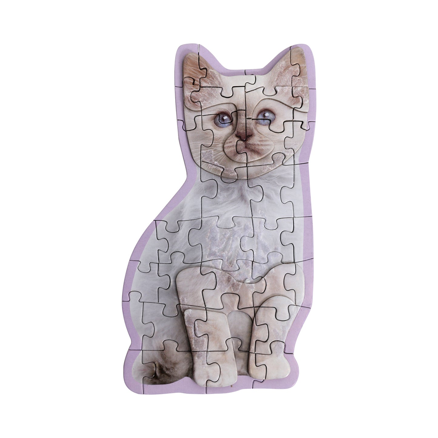 Pet Puzzle 3D