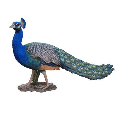 Long Tail Peacock Statue