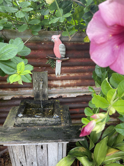 Pink Galah Perched Wall Art