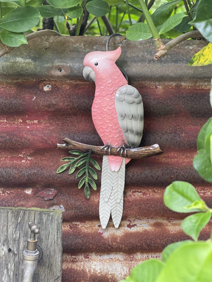 Pink Galah Perched Wall Art