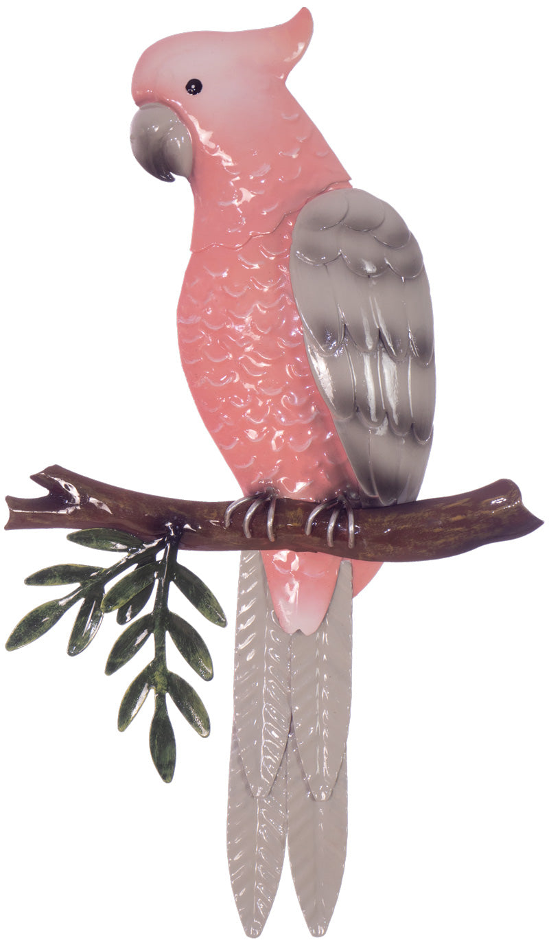 Pink Galah Perched Wall Art