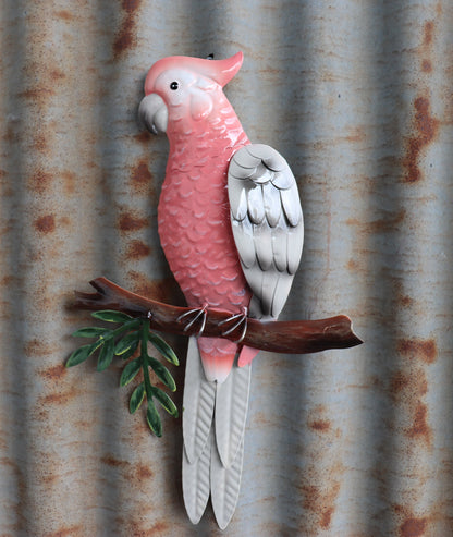 Pink Galah Perched Wall Art