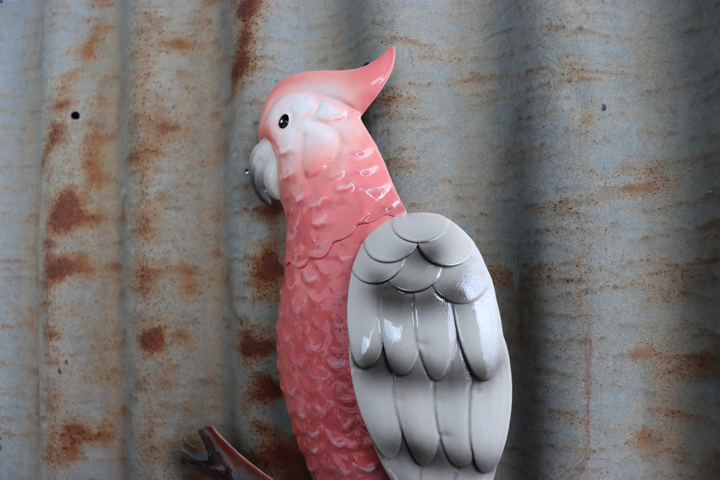 Pink Galah Perched Wall Art