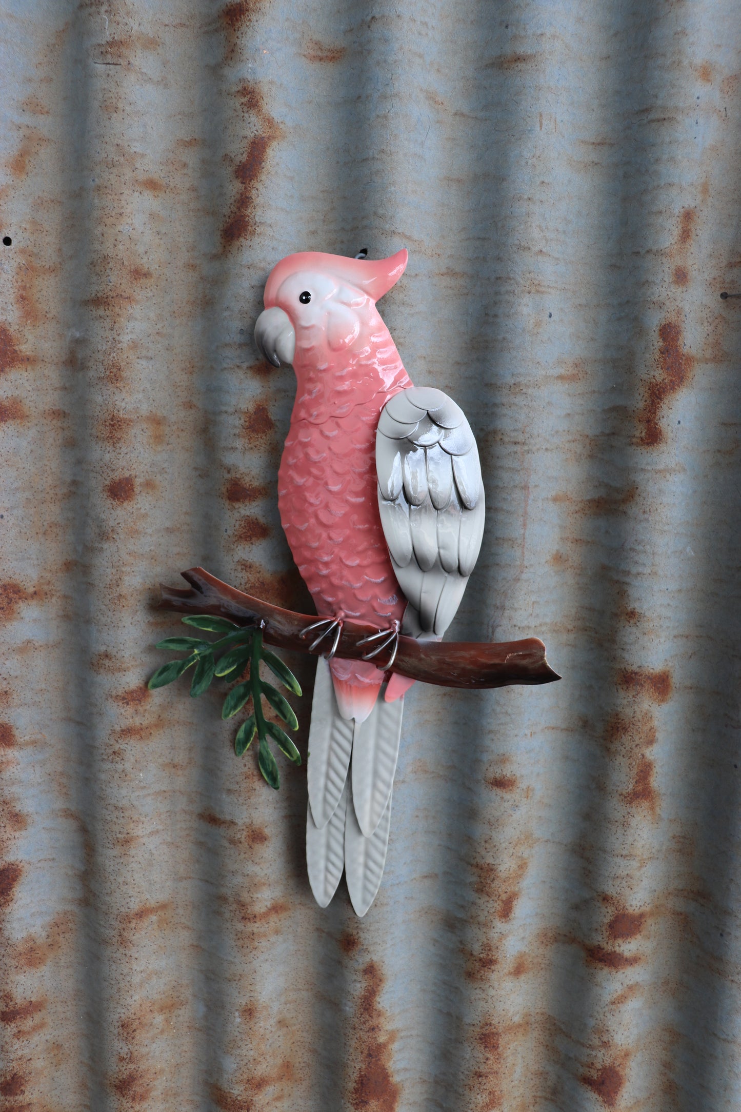 Pink Galah Perched Wall Art