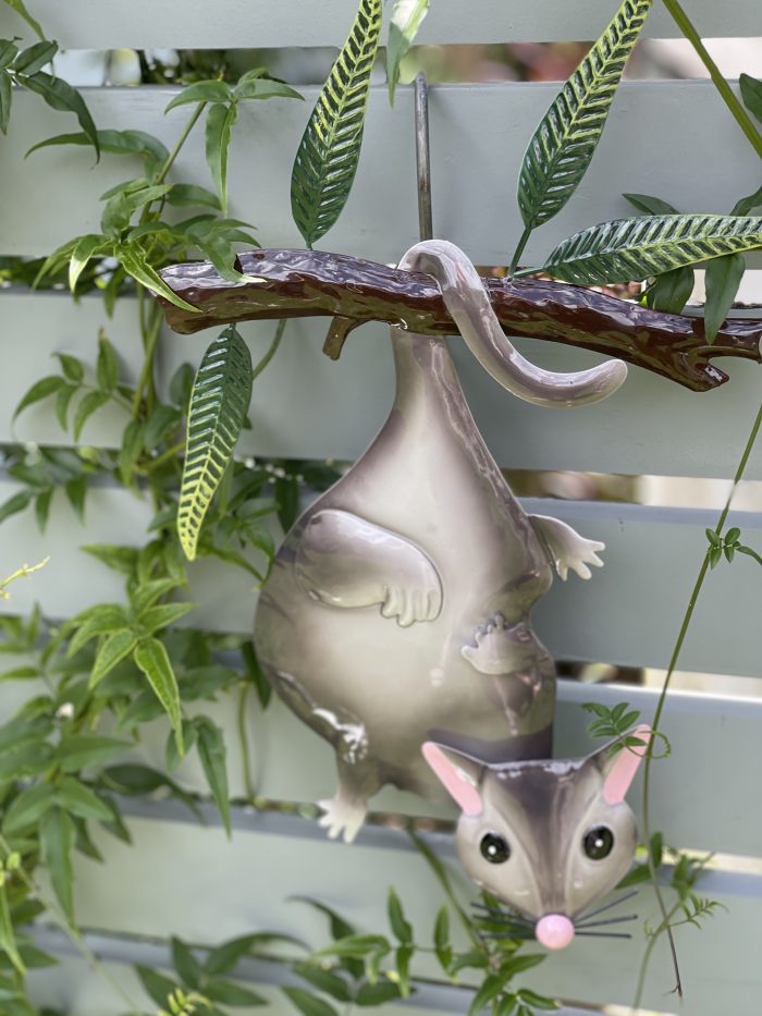 Possum Hanging Wall Art