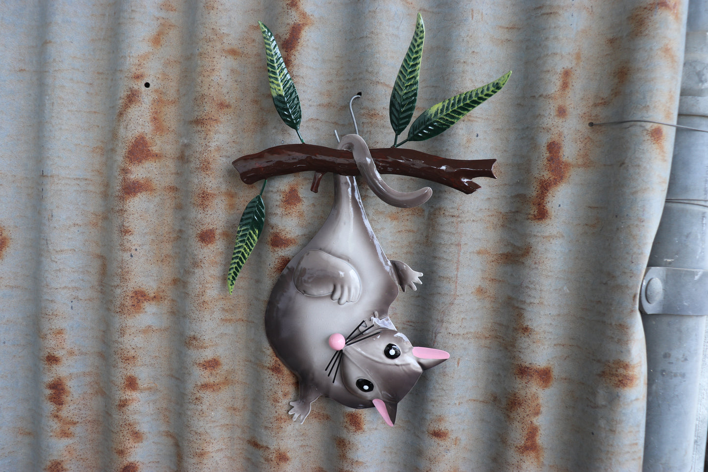 Possum Hanging Wall Art