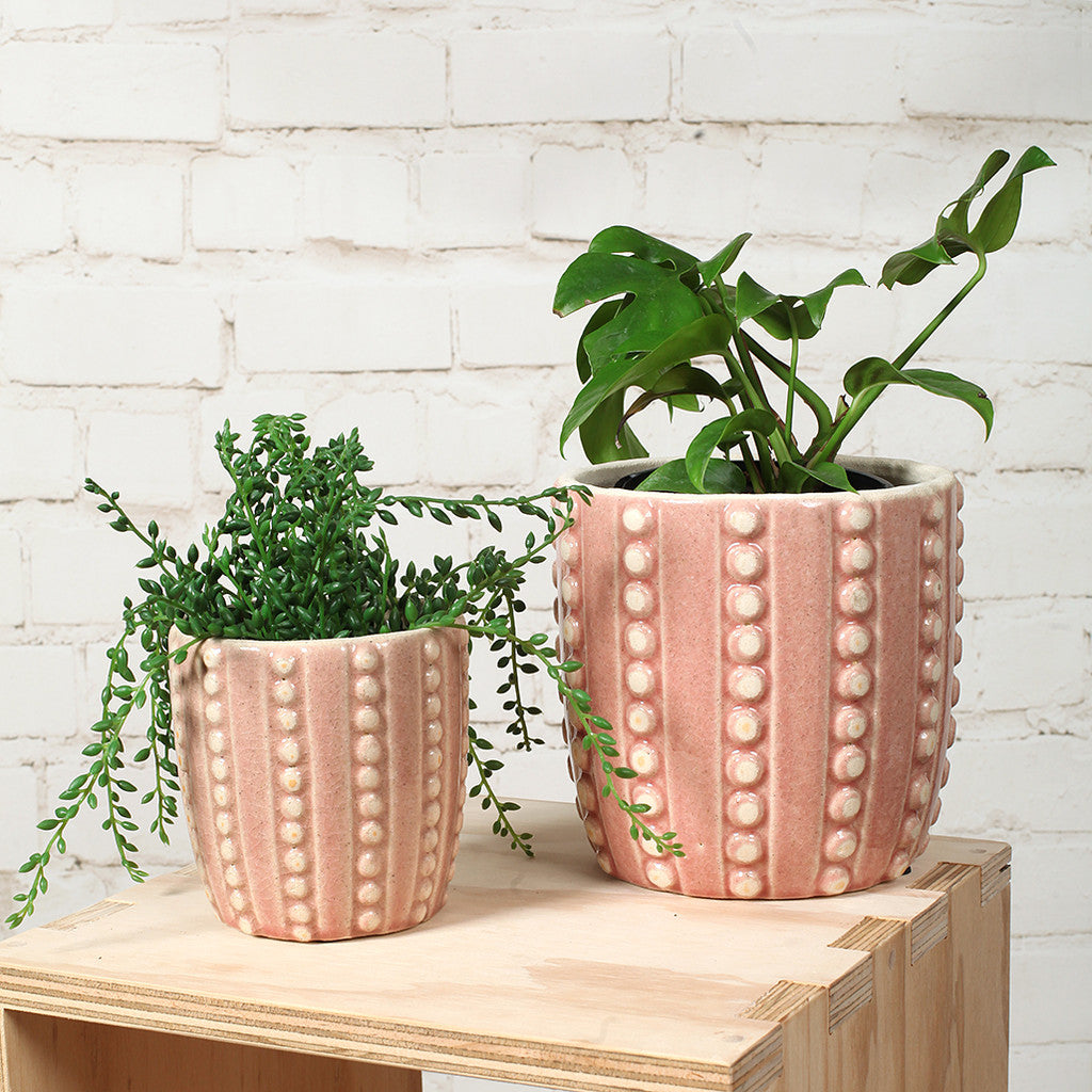 Blush Bubble Pots