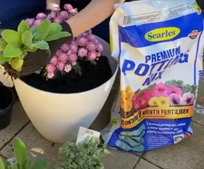 Searles Premium Potting Mix