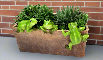 Rectangle Planter With Green Frogs