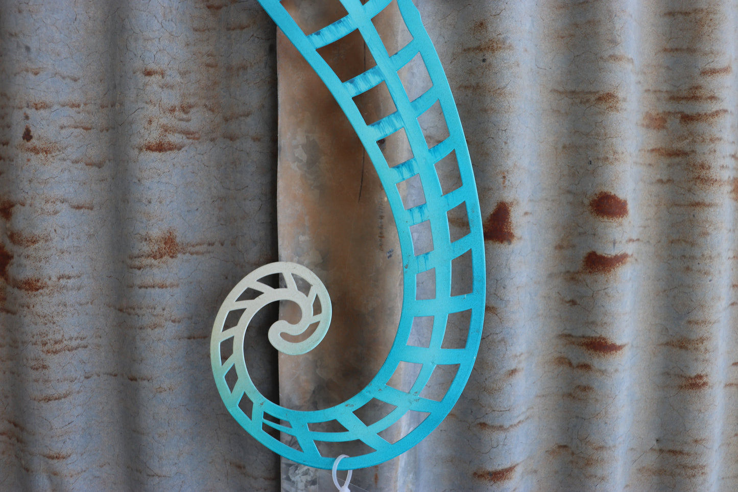 Seahorse Wall Art