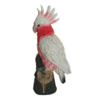 Pink Galah Statue