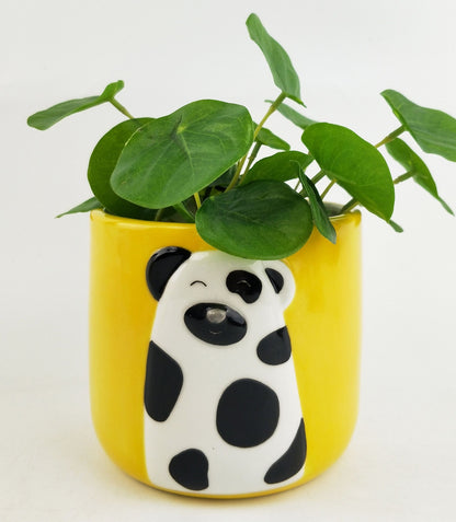 Colourful Animal Planters