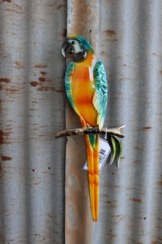 Yellow Macaw Wall Art