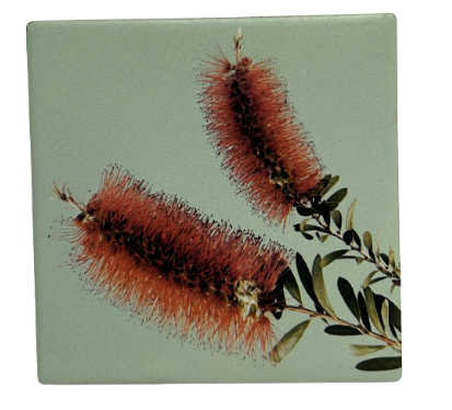 Australian Flora Coaster