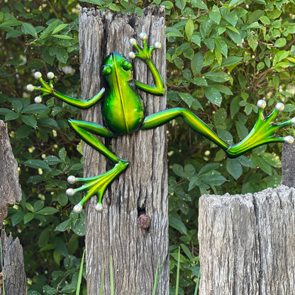 Backyard Frog Climbing Wall Art