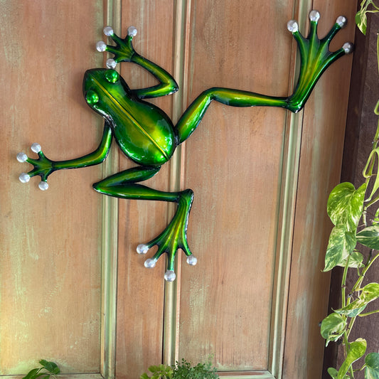 Backyard Frog Climbing Wall Art