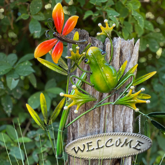 Frog Welcome With Dragonfly