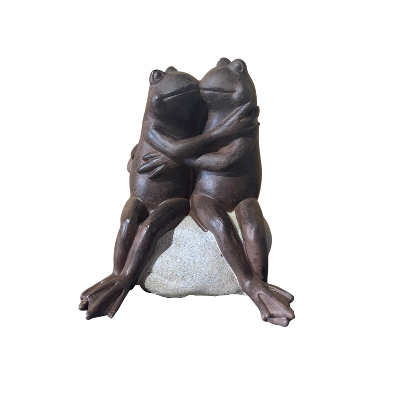 Frog Couple On Rock
